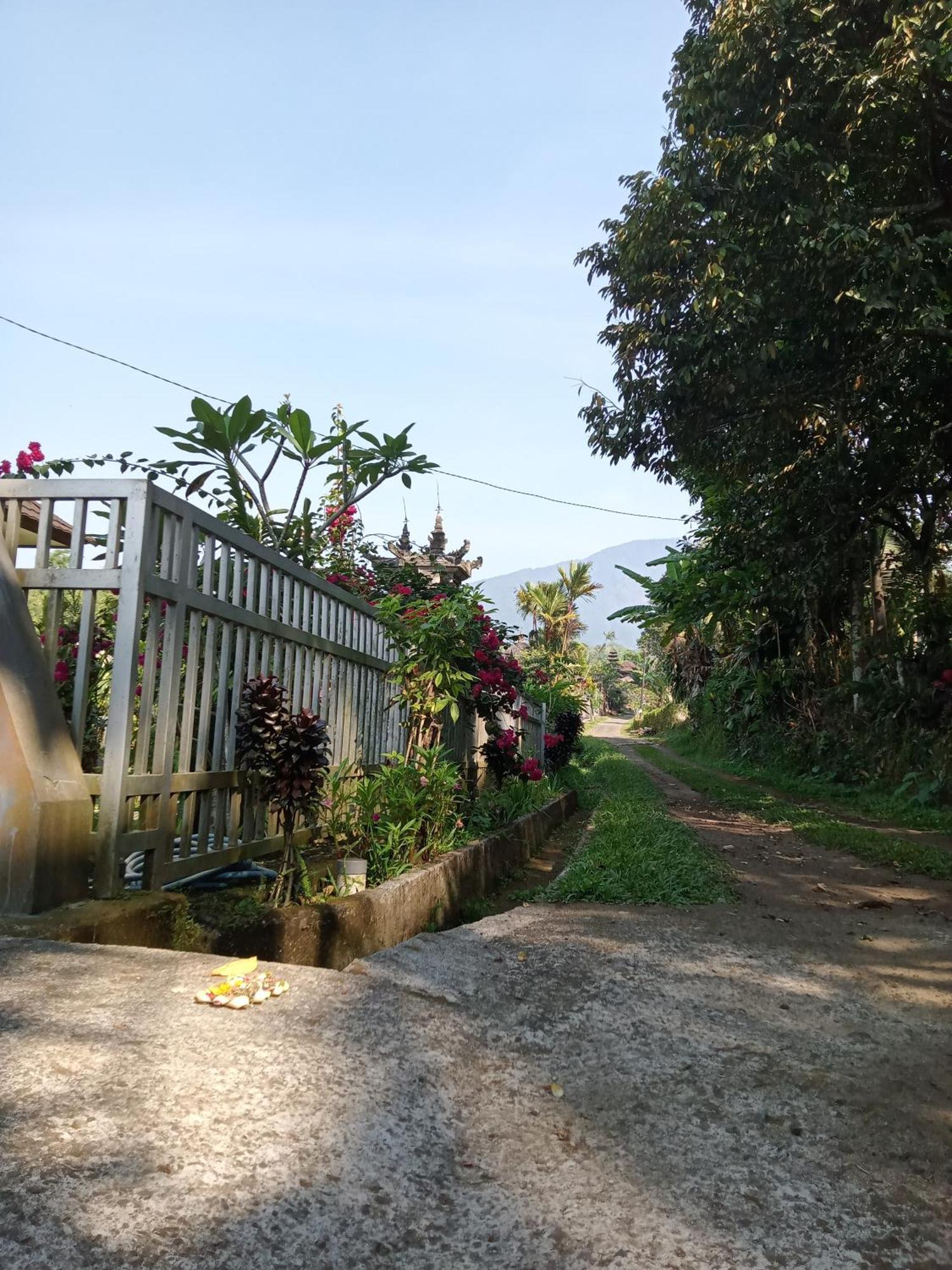 Umah Kampung Bendul * Penebel